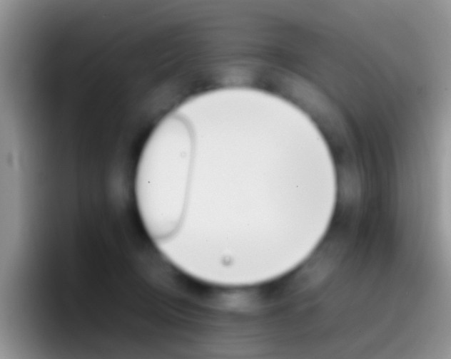 X0000097000370200802081033