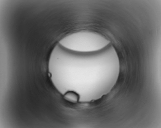 X0000097000374200802081033