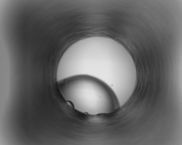 X0000097000380200802081033