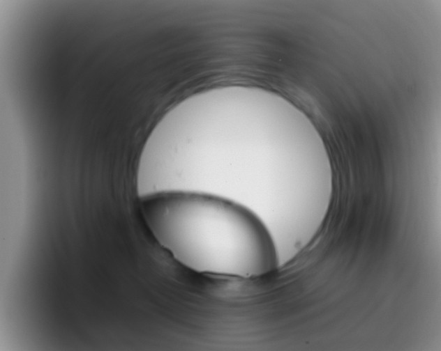 X0000097000382200802081033