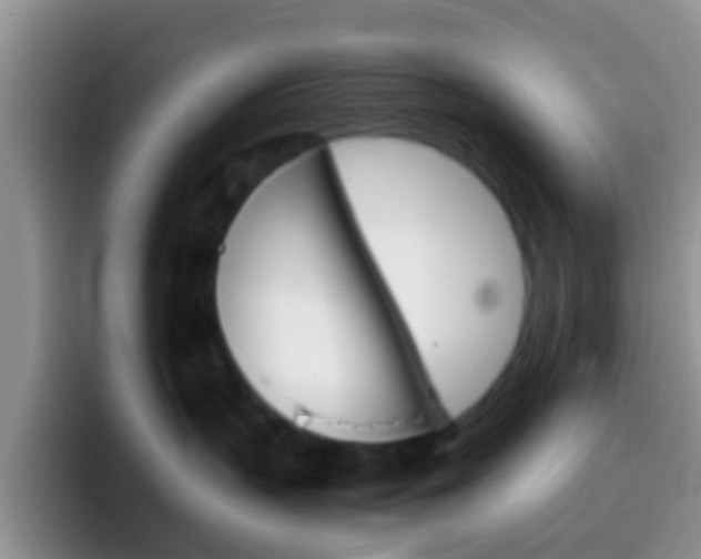 X0000097000383200802081033