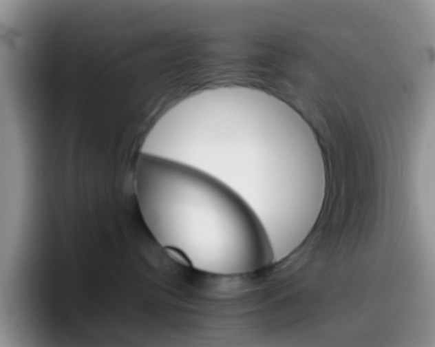 X0000097000384200802081033
