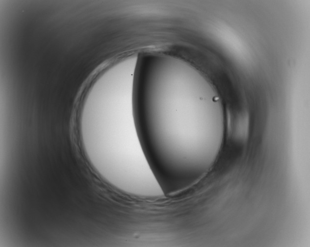 X0000097000387200802081032