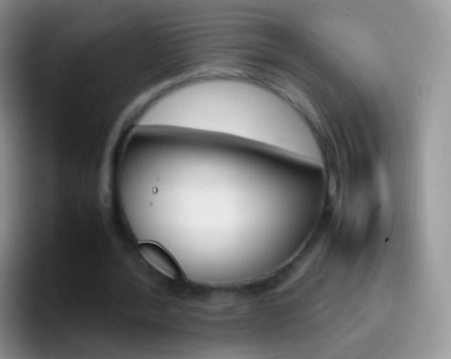X0000097000388200802081032