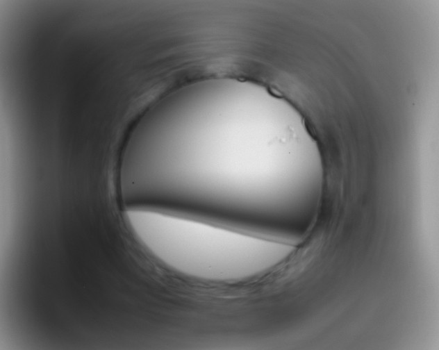 X0000097000393200802081032