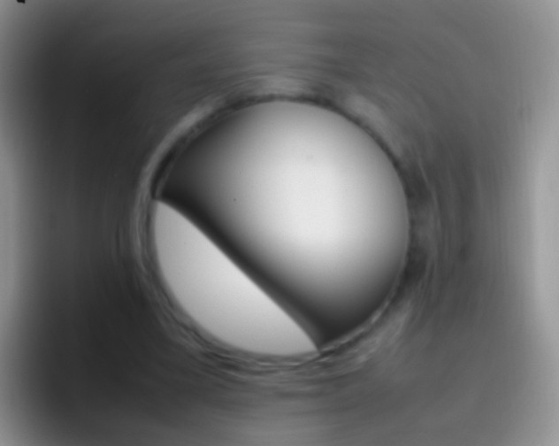 X0000097000395200802081032