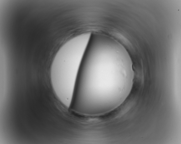 X0000097000401200802081032