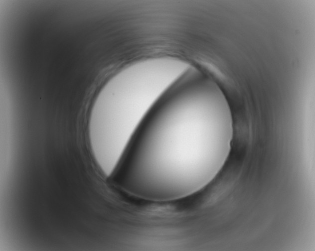 X0000097000403200802081032