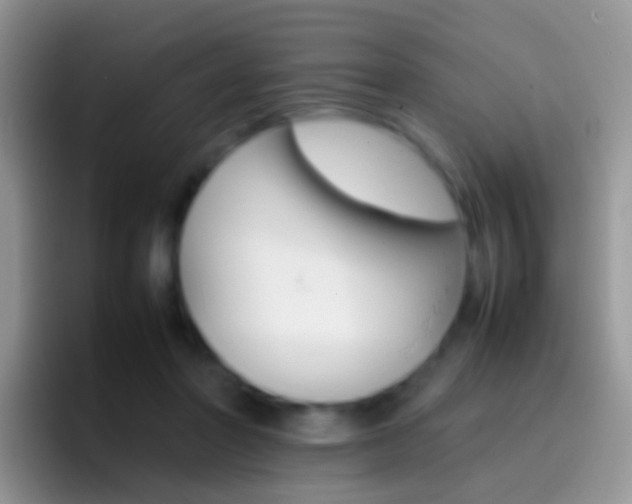 X0000097000406200802081032