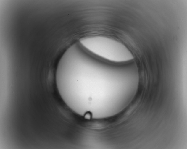 X0000097000412200802081032