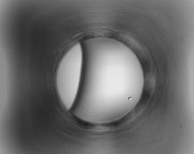 X0000097000413200802081032