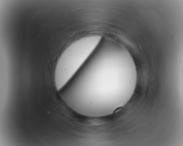 X0000097000417200802081032