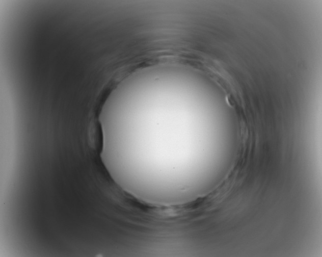 X0000097000419200802081032