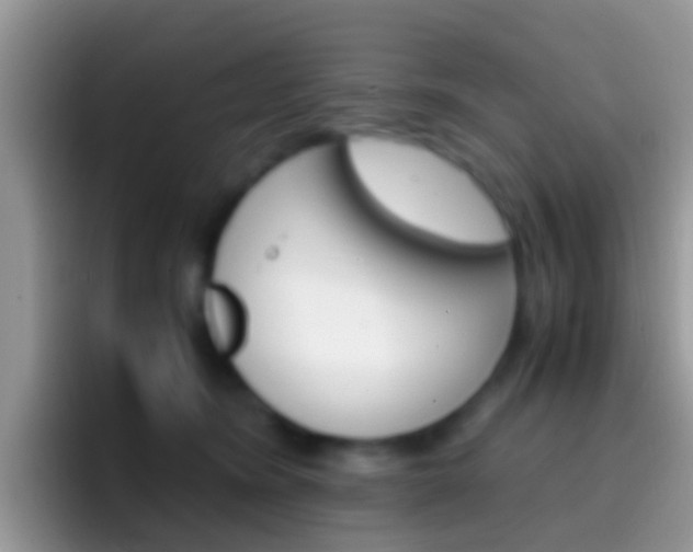 X0000097000420200802081032