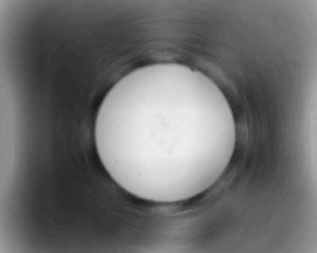 X0000097000422200802081032