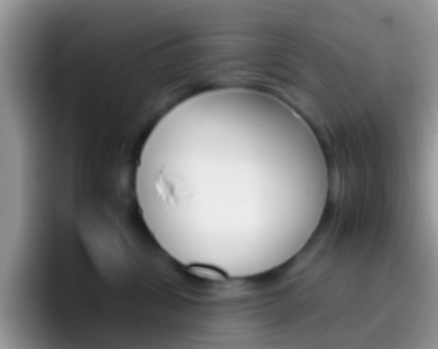 X0000097000428200802081032