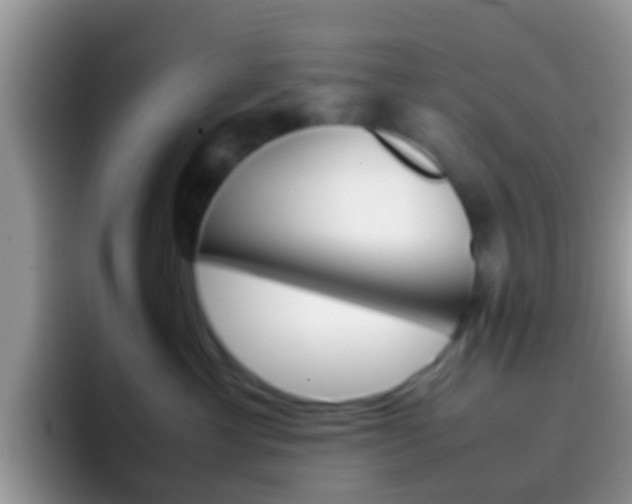 X0000097000429200802081032