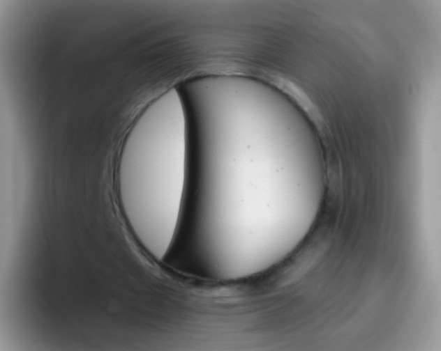 X0000097000433200802081031