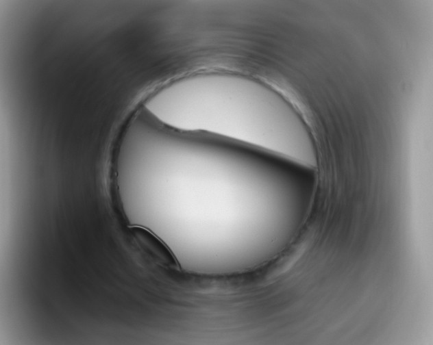 X0000097000434200802081031