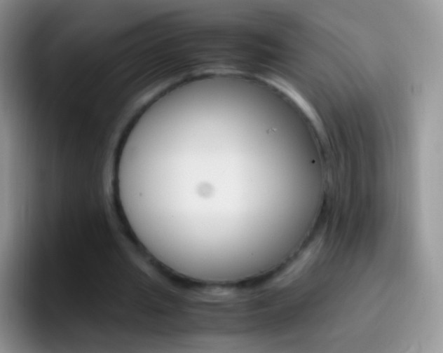 X0000097000437200802081031