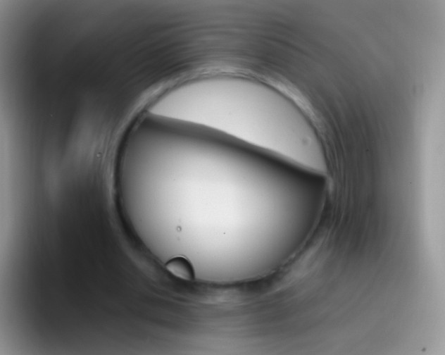 X0000097000438200802081031