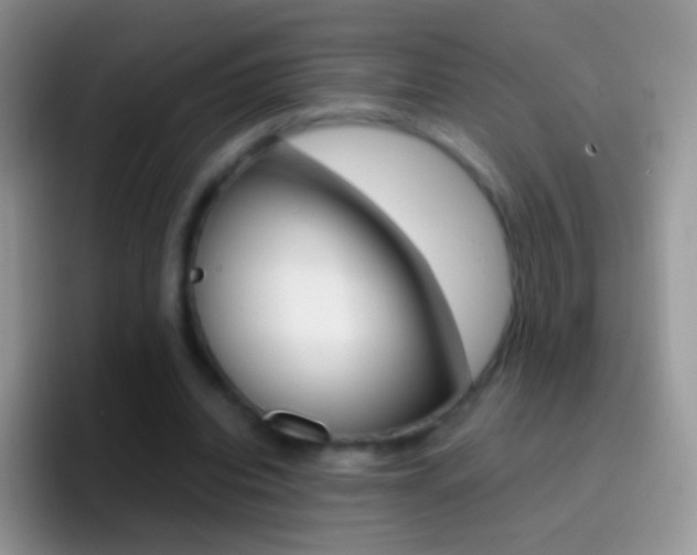 X0000097000440200802081031