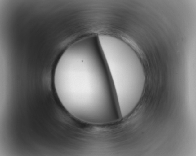 X0000097000442200802081031