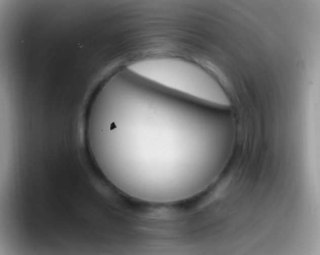 X0000097000446200802081031
