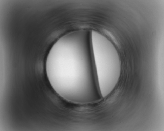 X0000097000447200802081031