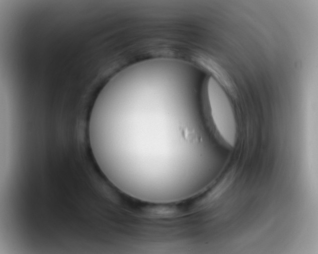 X0000097000449200802081031