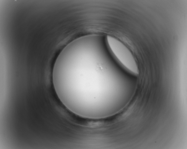X0000097000450200802081031