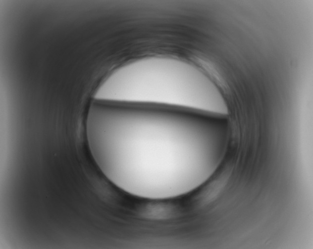 X0000097000453200802081031