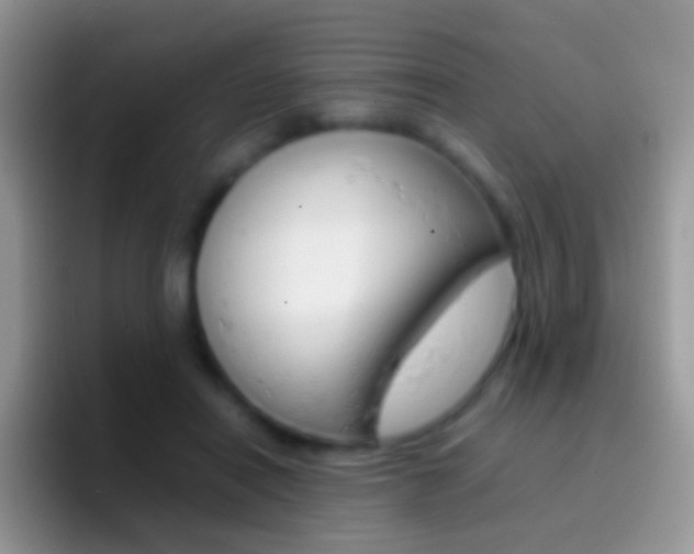 X0000097000454200802081031