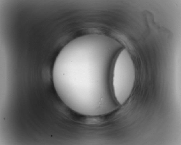 X0000097000457200802081031