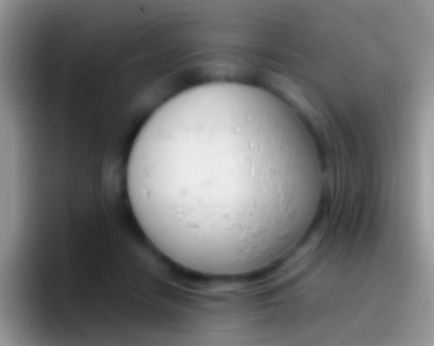X0000097000458200802081031