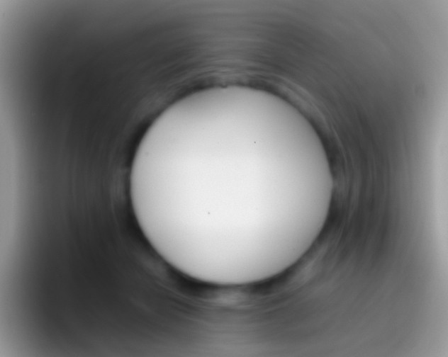 X0000097000462200802081031