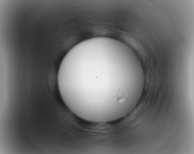 X0000097000463200802081031