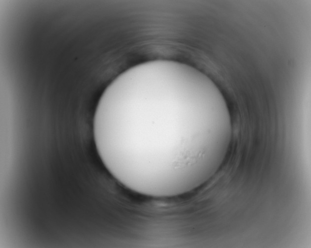 X0000097000464200802081031