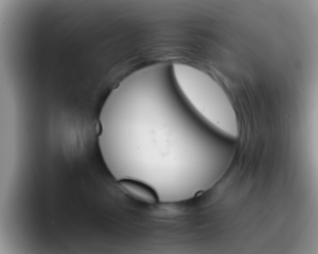 X0000097000475200802081032