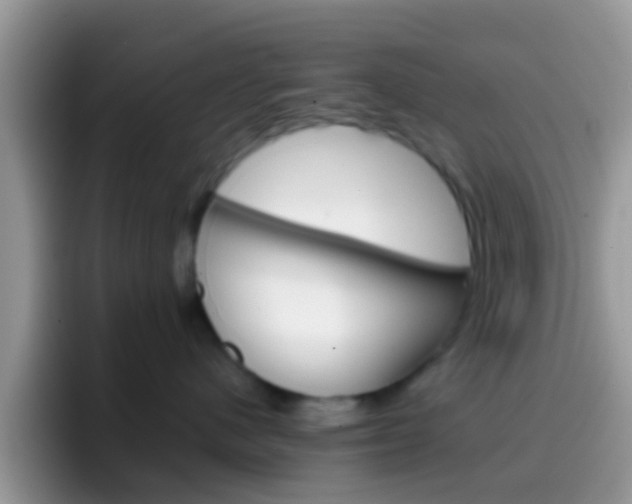 X0000097000480200802081032