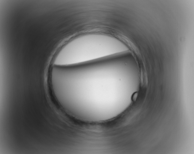 X0000097000483200802081031