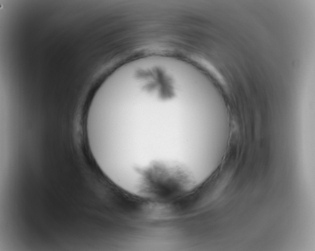 X0000097000487200802081031