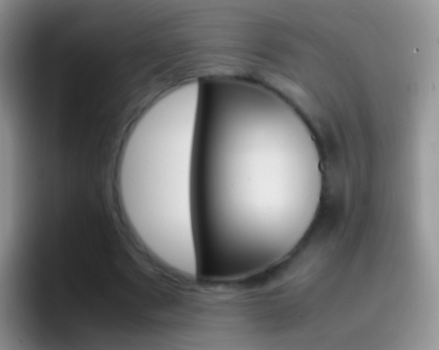 X0000097000489200802081031