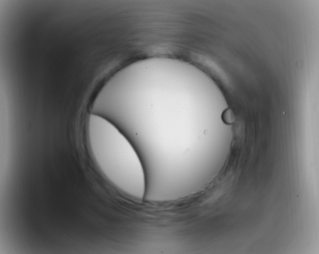 X0000097000491200802081031