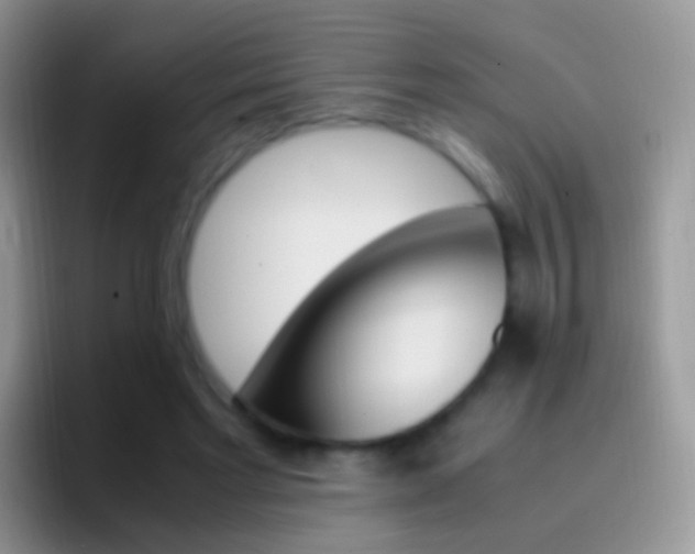 X0000097000493200802081031