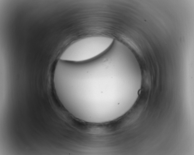 X0000097000494200802081031