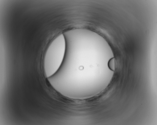 X0000097000495200802081031