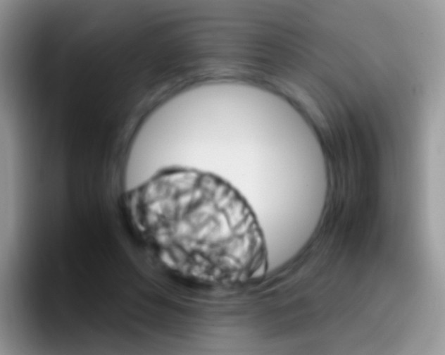 X0000097000496200802081031