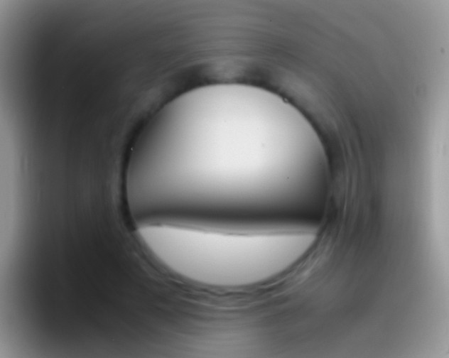 X0000097000497200802081031