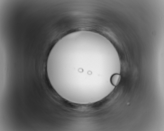 X0000097000499200802081031